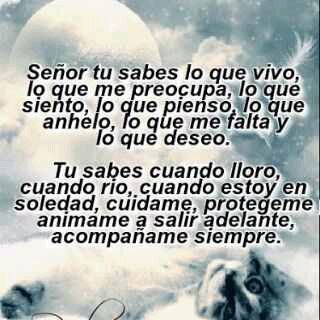 VallecillaMaria's profile picture. 