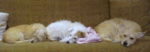 zwheeler11's profile picture. 