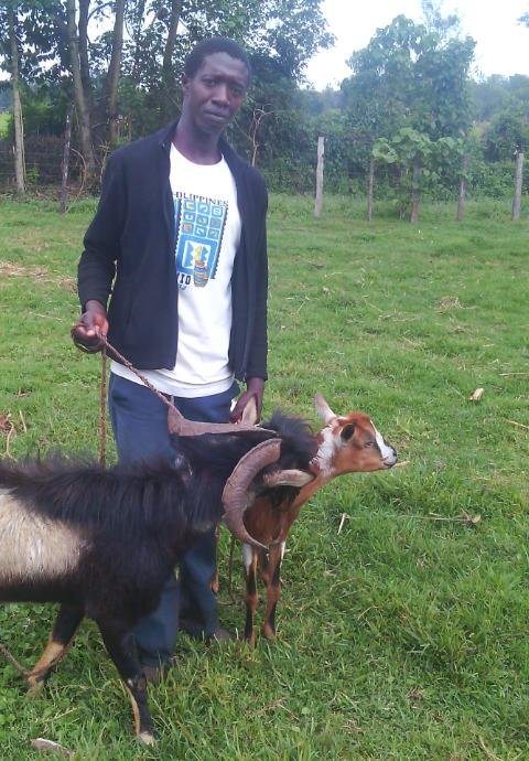 Agribusiness