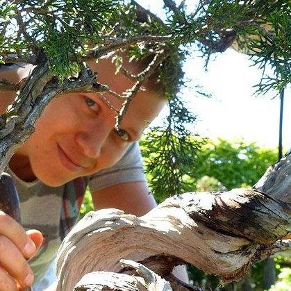 Rhamersbonsai's profile picture. Bonsai artist. Available for workshops, demo's, styling, deadwood carving, maintenance. DM me for details.