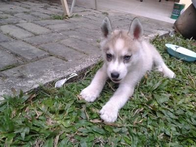 Follow me please!