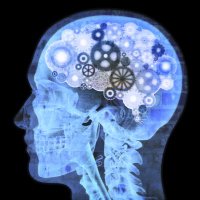 Wow Facts (@justwowfactss) 's Twitter Profile Photo