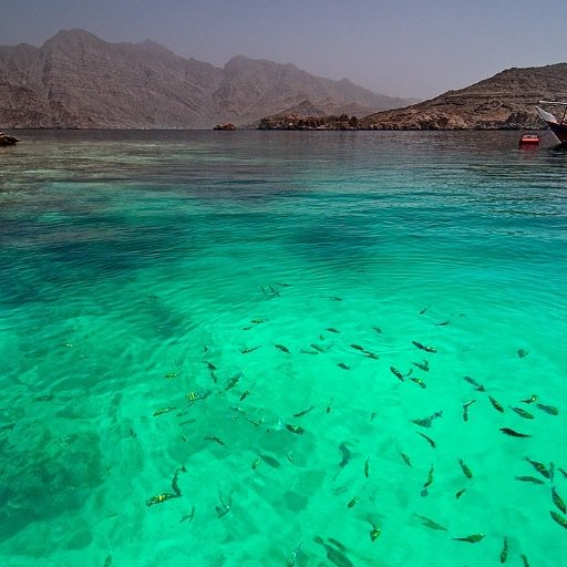 detectivestt's profile picture. 