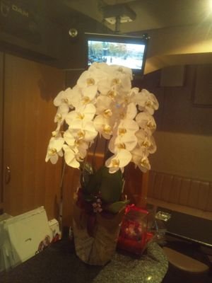 ndaitu1021's profile picture. 