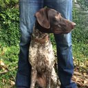 Drew Lawson - @helloimdrew - Twitter