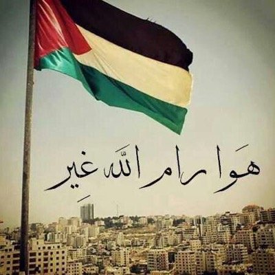 ibarghouth's profile picture. 