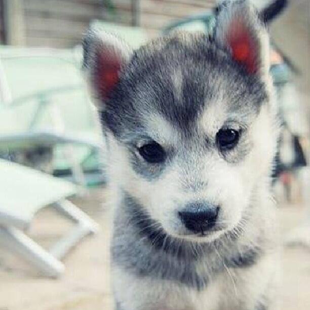 ViGraGiz's profile picture. It's My Life !