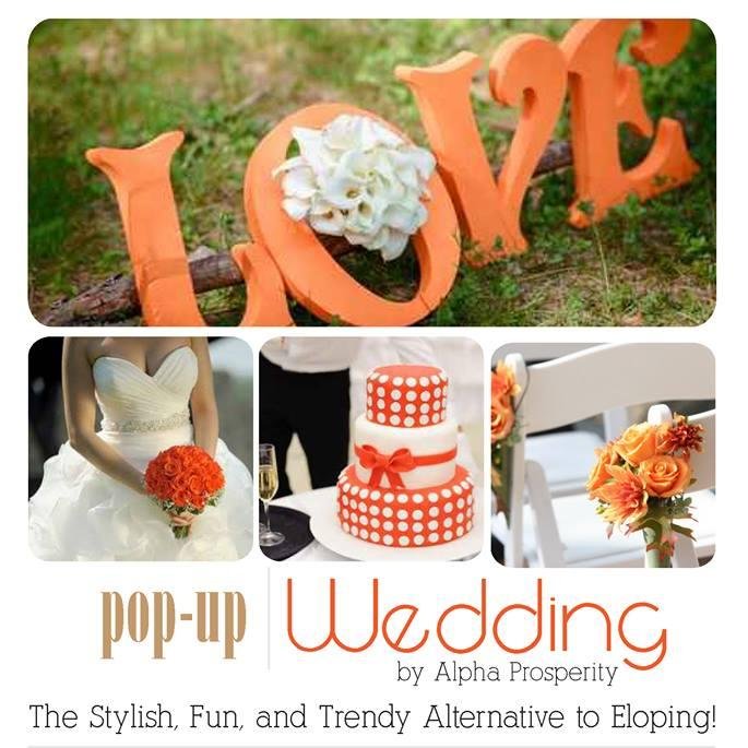A service of Alpha Prosperity Events.  Creating stress-free, intimate & budget friendly ways to celebrate your wedding day. Available dates booking now!