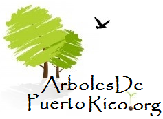 Entérate sobre lo que esta pasando en Puerto Rico - su Medio Ambiente - Reforestación, Videos y mucho Mas!! Se parte de http://t.co/3qlvZnqnm3