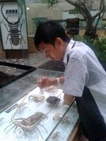 DarevilHanif's profile picture. SEMANGAT !!!