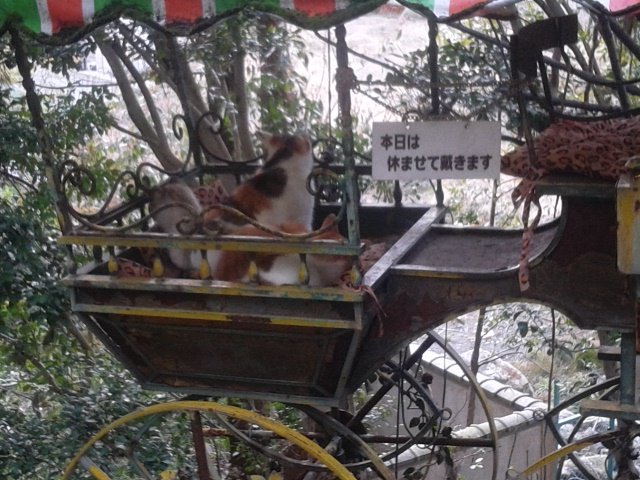 最近V沼ハマり中 推しはかなちーくずとド葛本社