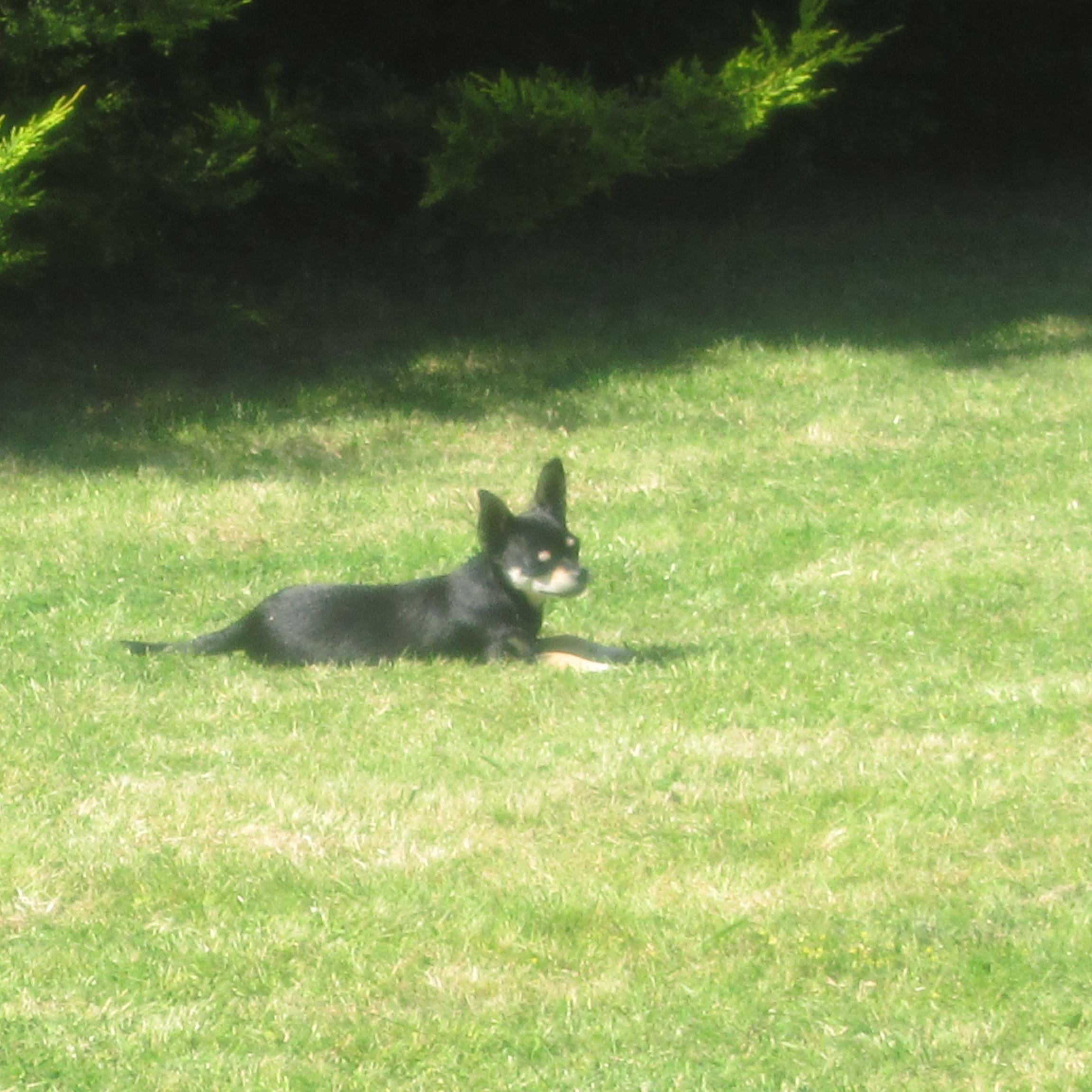 utiliser's profile picture. 