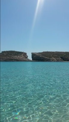 LoxiShort's profile picture. 