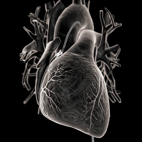 Perfusionist #Heart #Surgery