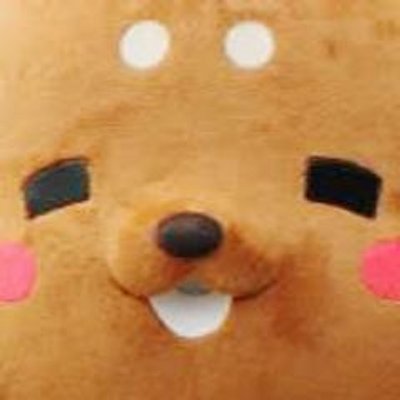 しかまろくん応援団 Shikamarokun St Twitter