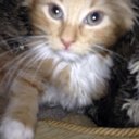 Danielle Lockhart - @dallensmith84 - Twitter