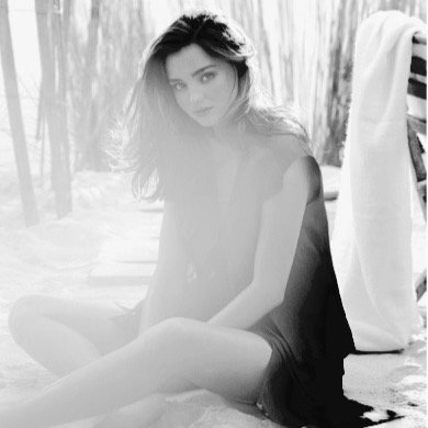 spiritedwind's profile picture. 夢はOLC. 志望▶︎(早稲田SILS /上智/ICU)