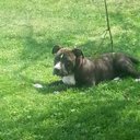 Aaron Vail - @avail0630 - Twitter