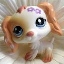 Grace Carol DuBose - @gcdubose1 - Twitter