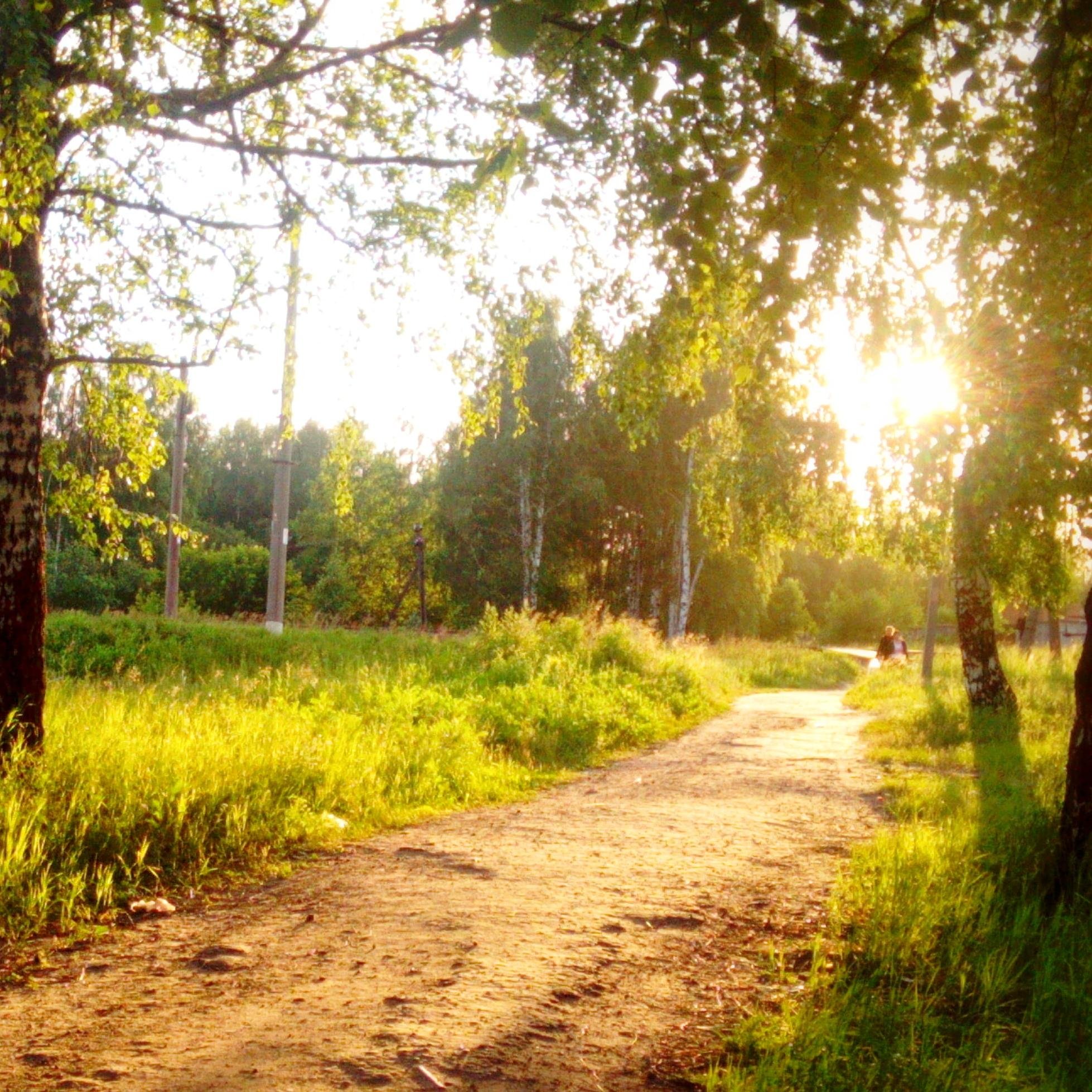 Величественный, как король, сэр Закат... #взаимныйфолловинг #цепочкафолловеров