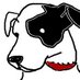 Rocky Chap (@chapumaru) Twitter profile photo