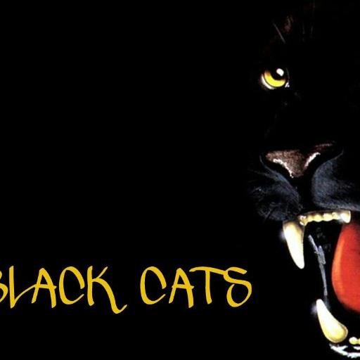 CatCreationz's profile picture. 