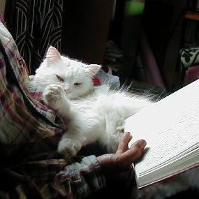 隠居して日々読書三昧、時に散歩。本を読んだら何か書くことにしています。