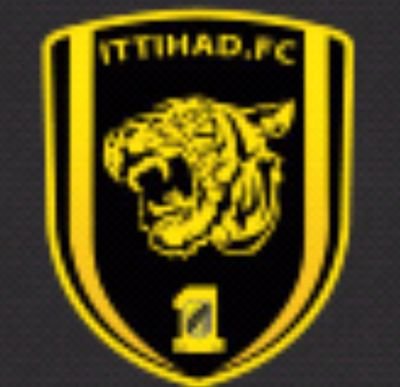 اتحادي صميم