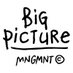 Big Picture Mgmt. (@bigpicturemgmt) Twitter profile photo