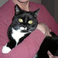 Ed Lynskey (@edlynskey) 's Twitter Profile