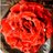 valja275's profile image