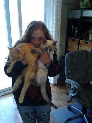 play ukulele, love cats,  eat food :D