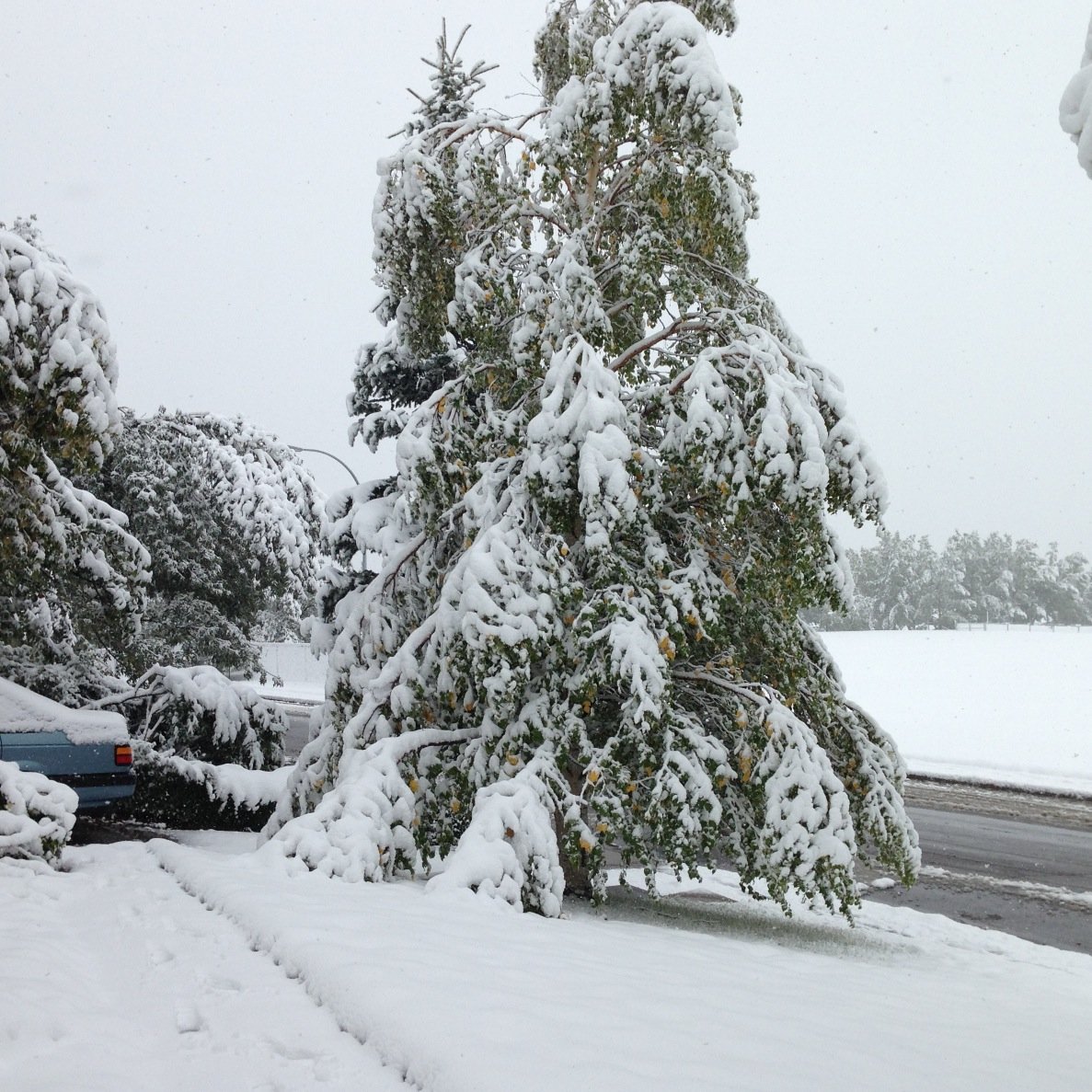 CasseeVal's profile picture. Have my own opinion about politics, global warming etc.