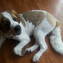 Michael Ehrman - @mehrman71 - Twitter