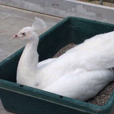 y_fizzfizz's profile picture. 本業専念につき休止中。

One For The Road.