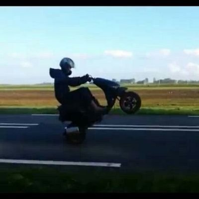 ariejangieselba's profile picture. 