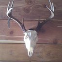 Ben Carmichael - @BenCarmichael68 - Twitter