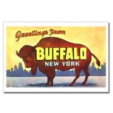 buffaloontap's profile picture. Buffalo on Tap: Renewed private investment, world class art, craft beer, dining, architecture & energy. Buffalo's back in a big way & we have a front row seat.