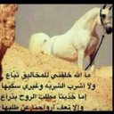 خالد ksa (@006401897911) Twitter