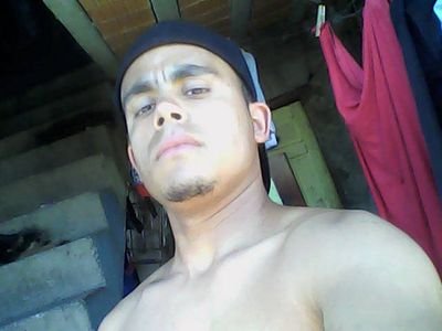 gato louco