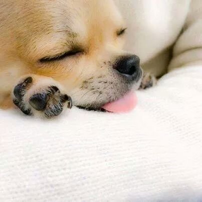 su_pes's profile picture. 