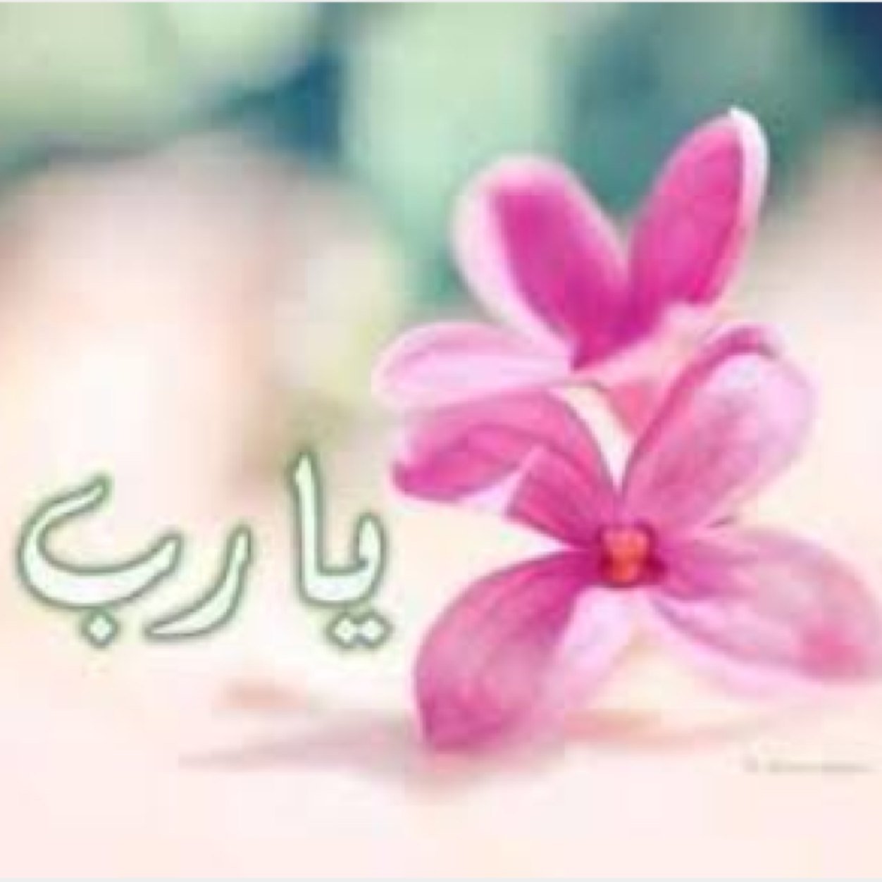 اميلي ff_ff1405@hotmail.com 

موجود كل الاوراق الي اثبت حالتنا التقراير الطبيه وصور بطاقات الاعاقة وورقة من الامارة تثبت حالتنا ارسلها لك بالخاص