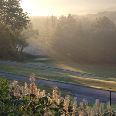 LizzyEx's profile picture. 