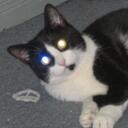 Dan Myler - @Dan_Myler - Twitter