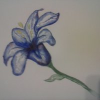 Moni Sol (@monicapril95) 's Twitter Profile