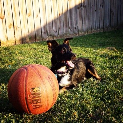 busterbmurray's profile picture. 