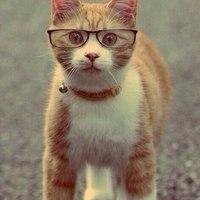 Svyatohka's profile picture. 