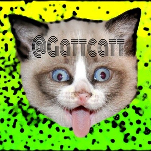 Te estoy vigilando. Si no me sigues te invadirán lindos gatitos. A que esperaras?