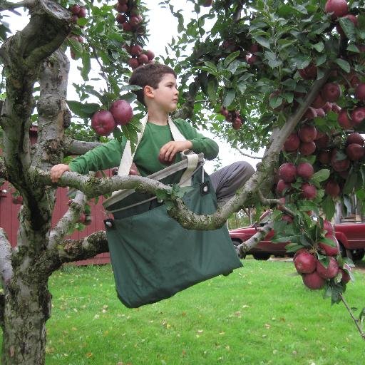 We grow all the apples we sell. Our cider (unpasteurized) and apple pies/crisps are legendary. https://t.co/rln8kRrfj3