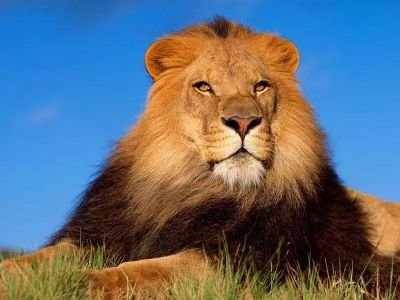 موظف بشركه طرق